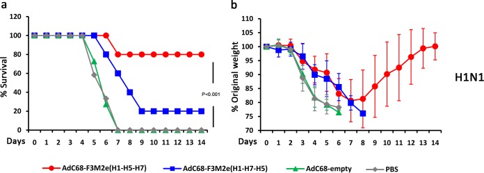 FIG 6