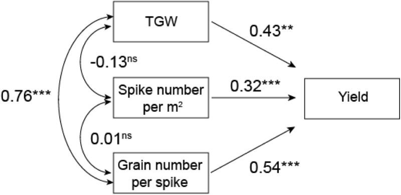 FIGURE 3