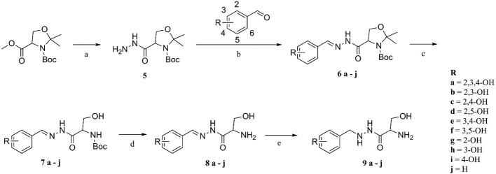 Scheme 1