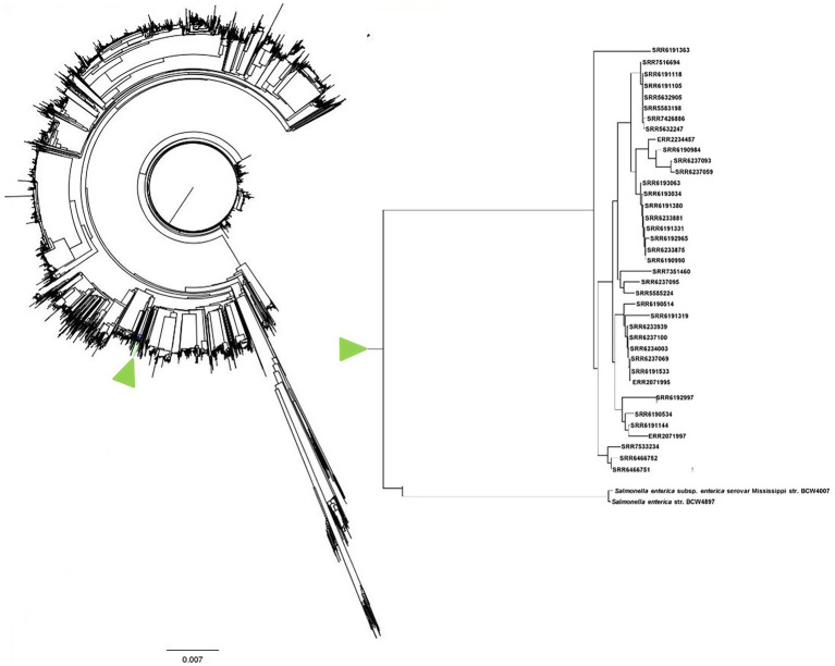 Figure 10