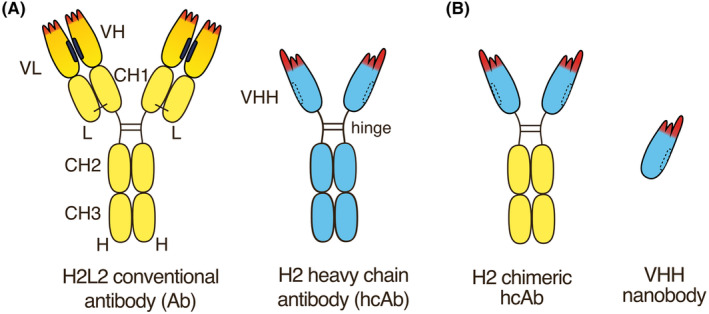 FIGURE 1