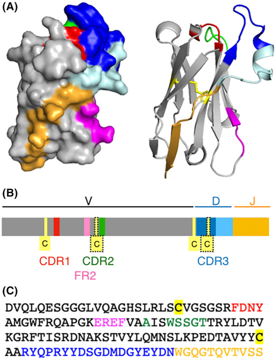 FIGURE 2