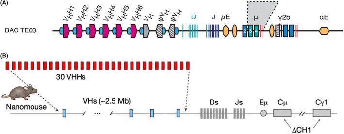 FIGURE 3