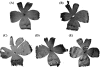 Fig. 3