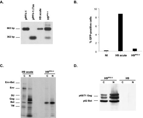 FIG. 1.