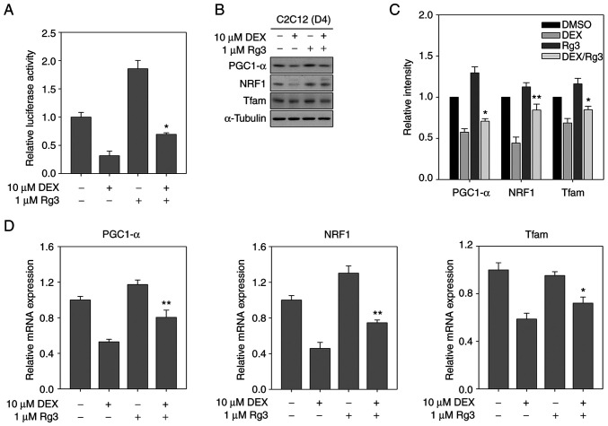 Figure 3.