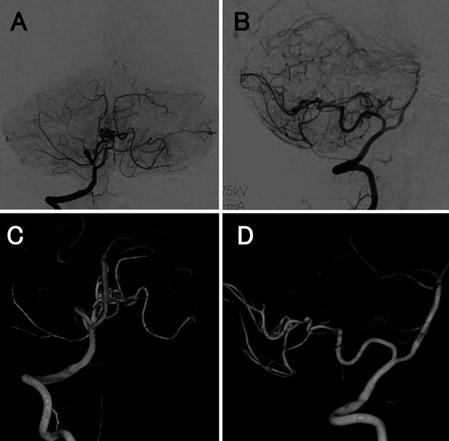 FIG. 4.