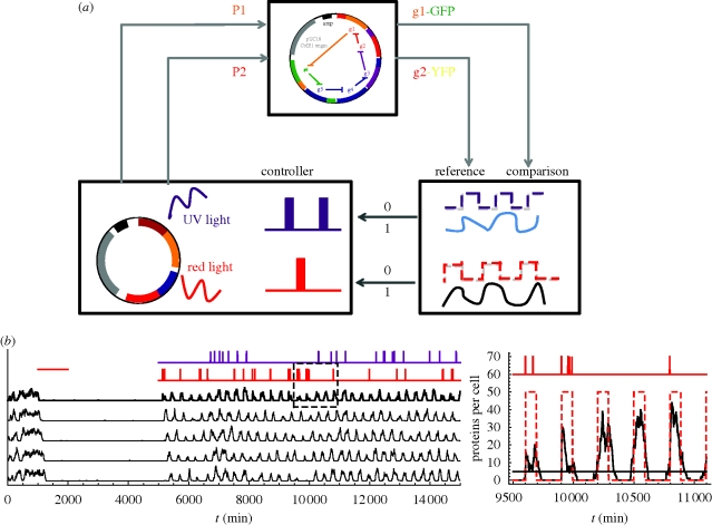 Figure 4.