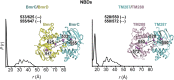 Figure 1—figure supplement 3.