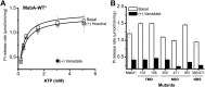 Figure 7—figure supplement 1.