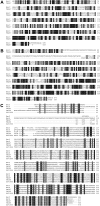 Figure 1—figure supplement 1.