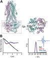 Figure 1—figure supplement 5.