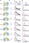 Figure 1—figure supplement 4.