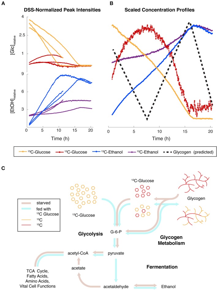 Figure 6