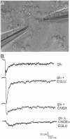 Fig. 4.