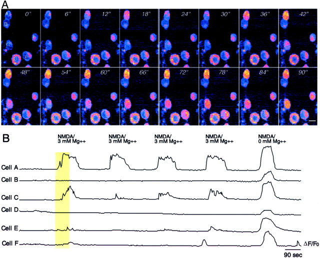 Fig. 6.