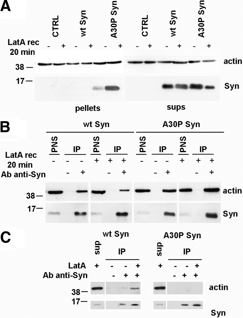 Figure 6.