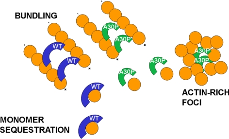 Figure 11.