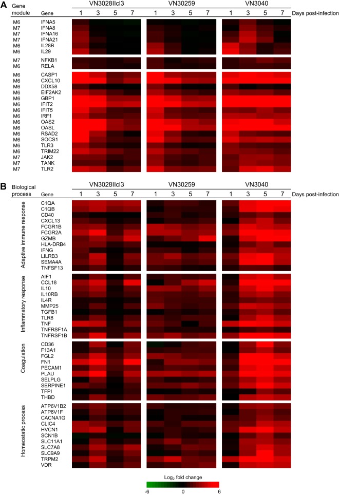 FIG 6