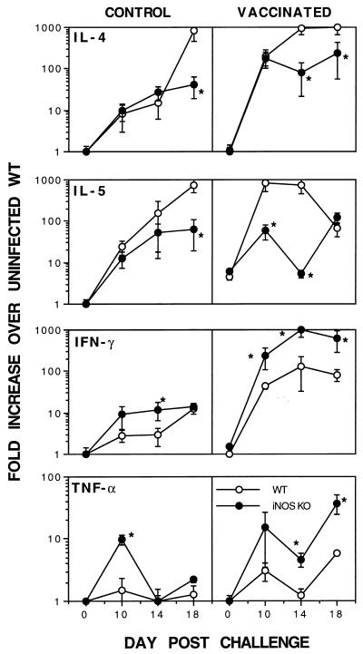 FIG. 7