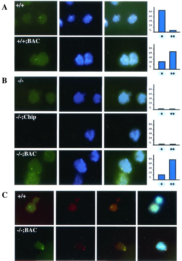 FIG.5.