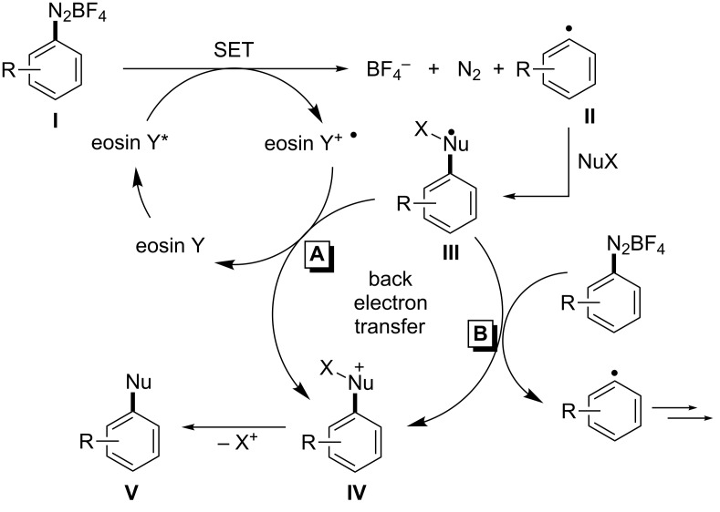 Scheme 2