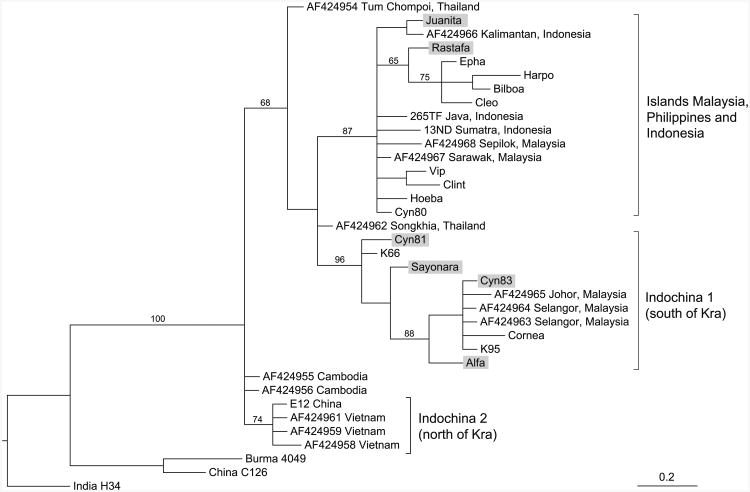 Fig. 1