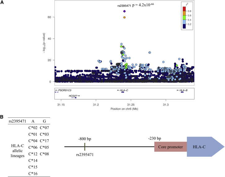 Figure 1