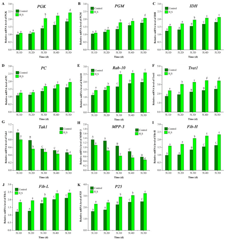 Figure 5