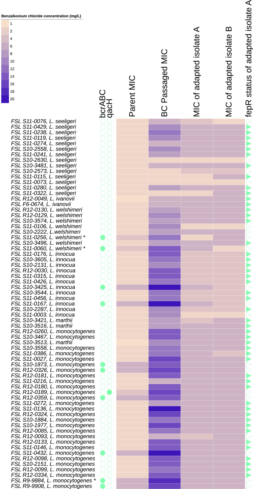 FIG 1