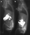 Fig. 3.