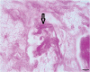 Figure 3a.