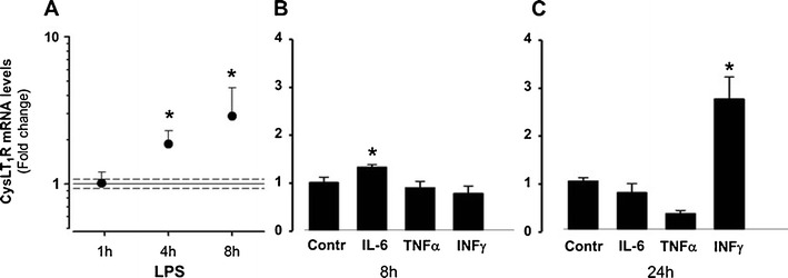 Fig. 2