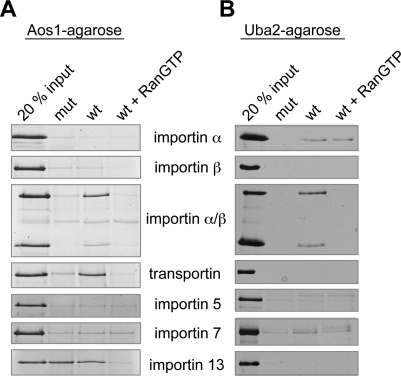 FIGURE 3: