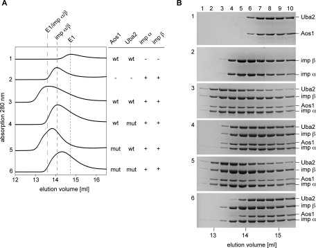 FIGURE 6: