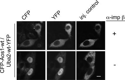 FIGURE 7: