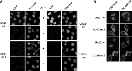 FIGURE 2: