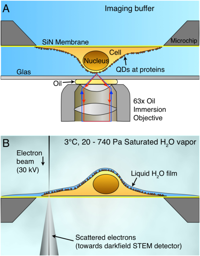 Figure 9.