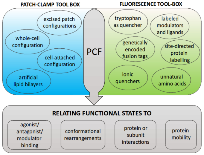 Figure 20.