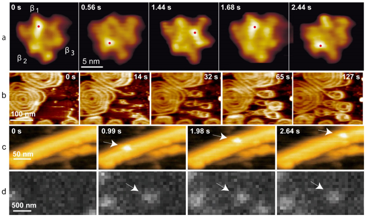 Figure 13.