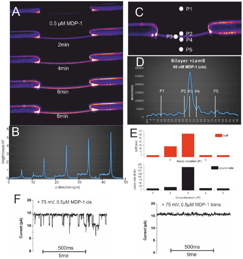 Figure 19.