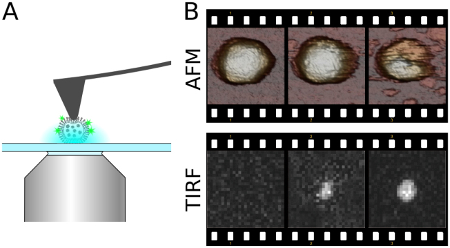 Figure 12.