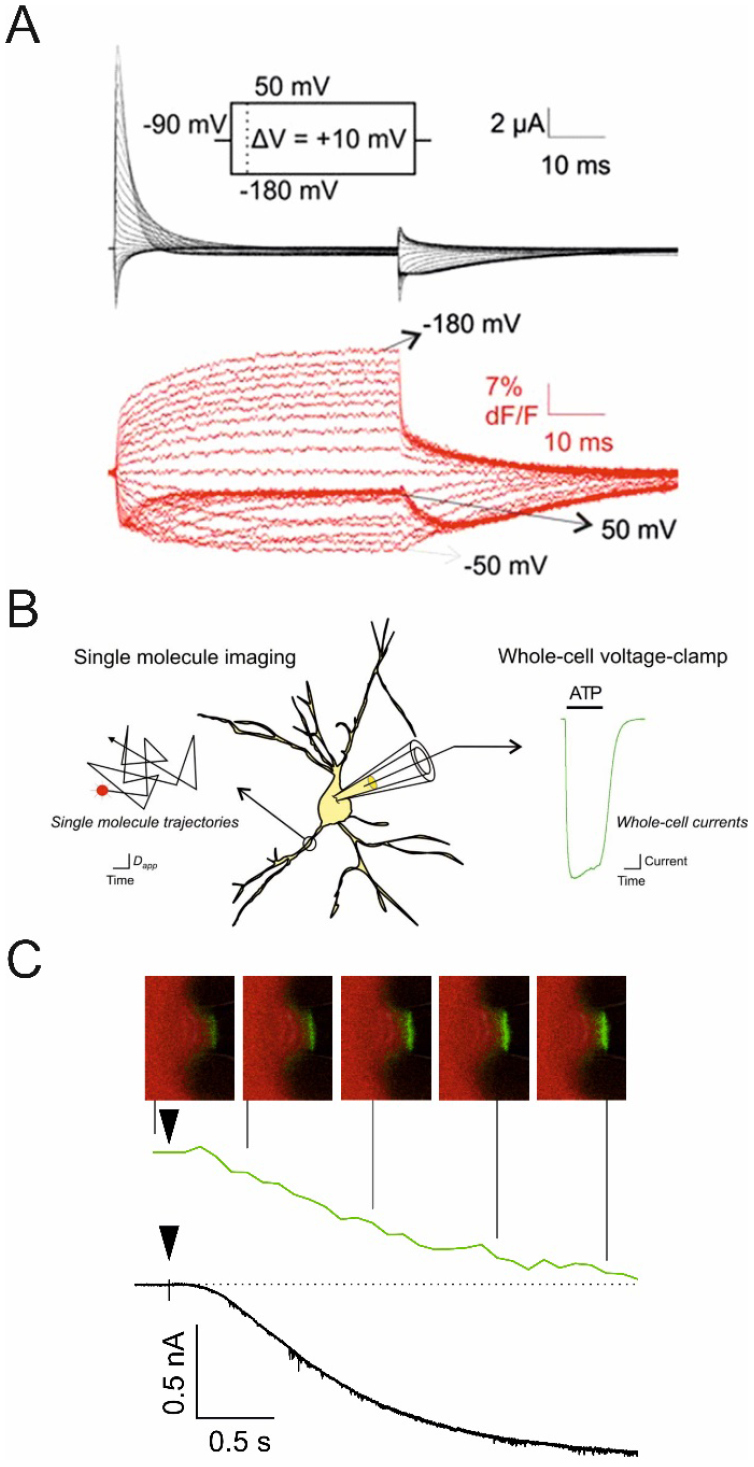 Figure 21.