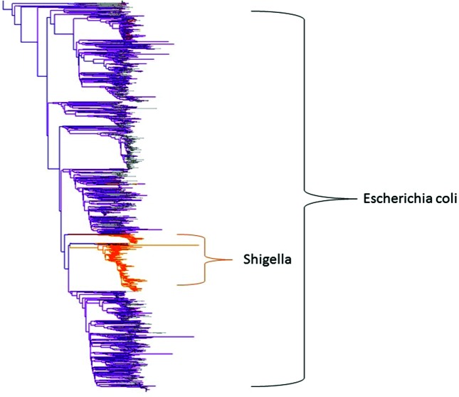 Fig. 3.