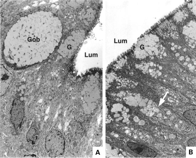 Figure 3  