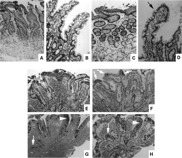 Figure 1  