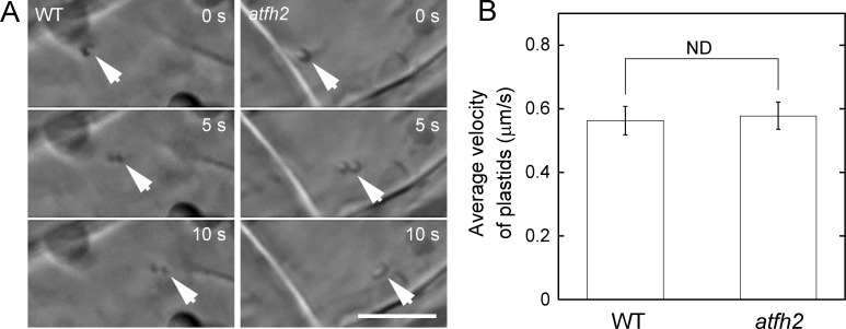 Figure 2—figure supplement 2.