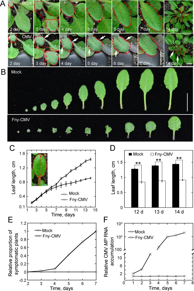 Figure 2—figure supplement 4.