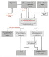 Intermediate care referral pathways, including the ‘enhanced’ pathway in Coastal locality