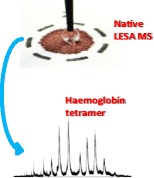 Graphical Abstract